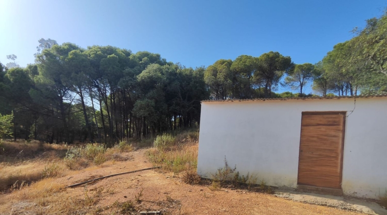 Huelva - Villablanca - 1309m2