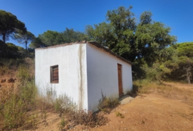 Foto 15