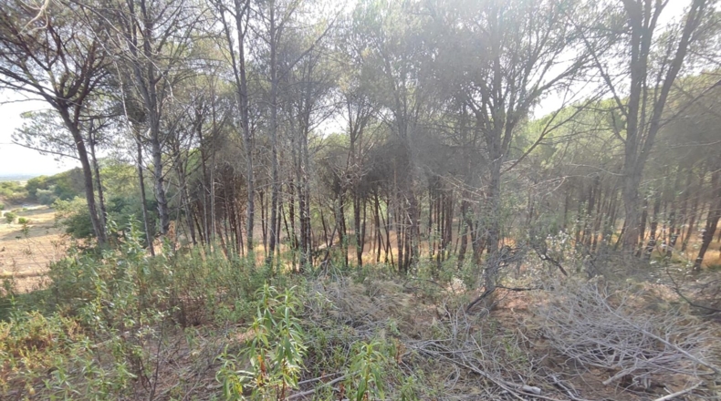 Huelva - Villablanca - 1309m2