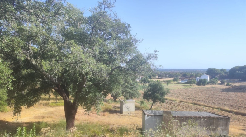Huelva - Villablanca - 1309m2