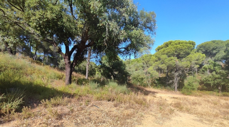 Huelva - Villablanca - 1309m2