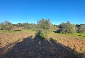 Villablanca 7500&nbsp;m² 