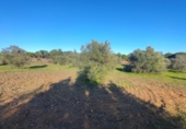 Urban land for sale in Villablanca ref: TR360961 photo
