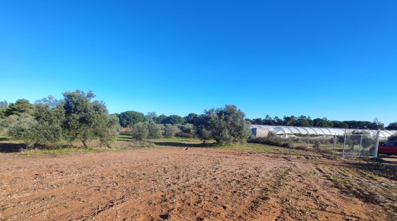 Huelva - Villablanca - 7500m2