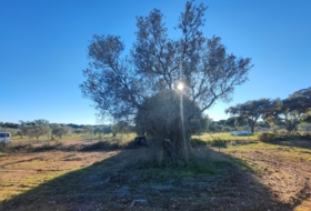 Villablanca 7500&nbsp;m² 