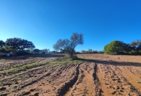 Villablanca 7500&nbsp;m² 