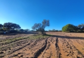 Urban land for sale in Villablanca ref: TR360961 photo