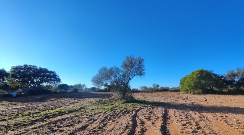 Huelva - Villablanca - 7500m2