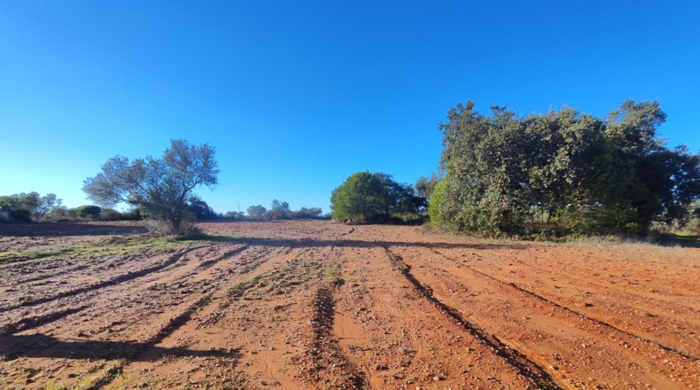 Huelva - Villablanca - 7500m2