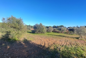Villablanca 7500&nbsp;m² 