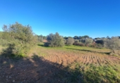 Urban land for sale in Villablanca ref: TR360961 photo