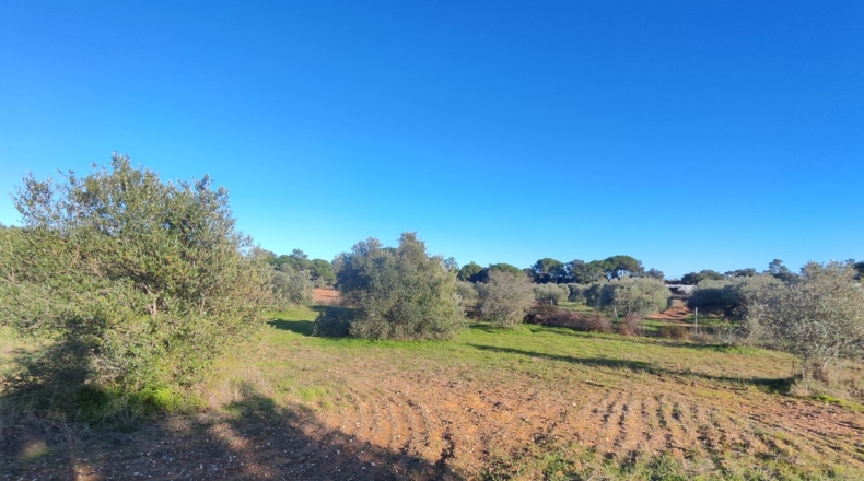 Huelva - Villablanca - 7500m2