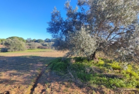 Villablanca 7500&nbsp;m² 