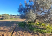 Urban land for sale in Villablanca ref: TR360961 photo