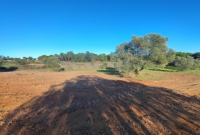 Villablanca 7500&nbsp;m² 