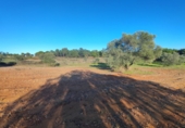 Urban land for sale in Villablanca ref: TR360961 photo