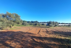 Villablanca 7500&nbsp;m² 