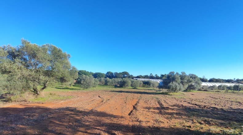 Huelva - Villablanca - 7500m2