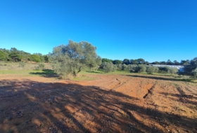 Villablanca 7500&nbsp;m² 