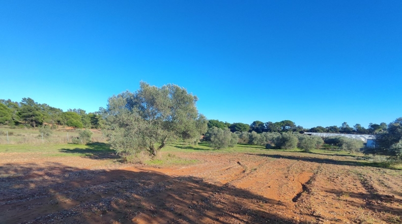 Huelva - Villablanca - 7500m2