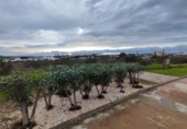 Suelo urbano en venta en Ayamonte ref: TR365206 foto