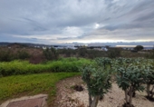 Suelo urbano en venta en Ayamonte ref: TR365206 foto