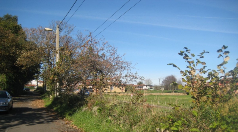 Asturias - Venta las Ranas - 2444m2