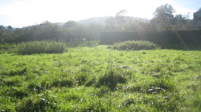 Asturias - Venta las Ranas - 2444m2