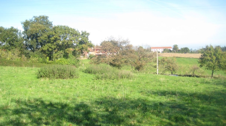 Asturias - Venta las Ranas - 2444m2