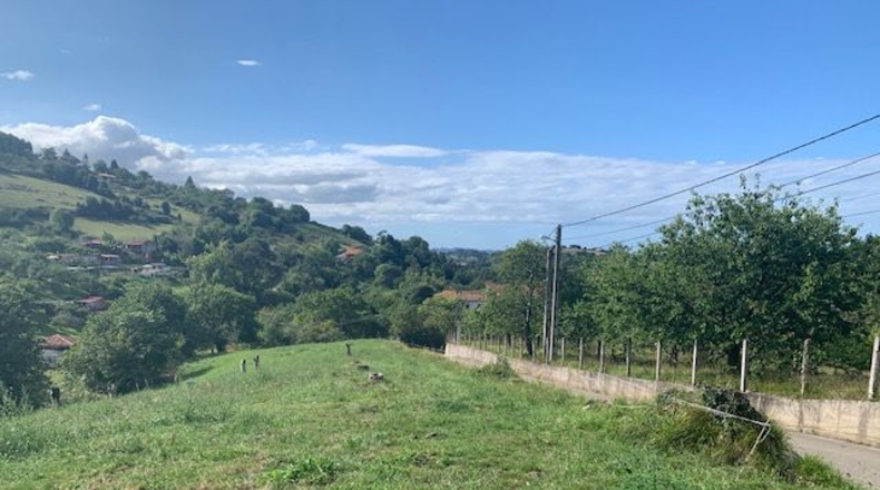 Asturias - Robledo - 3348m2