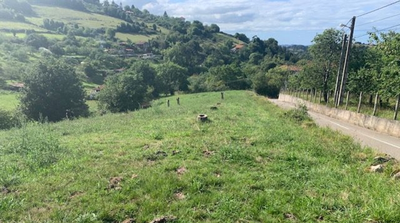 Asturias - Robledo - 3348m2