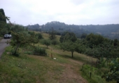 Non-developable land for sale in Gijón ref: TR185195 photo