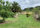 Finca rústica en venda a Villaviciosa ref.: TR186865 foto