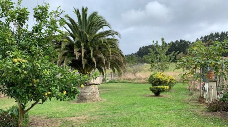 Asturias - Tazones - 14000m2
