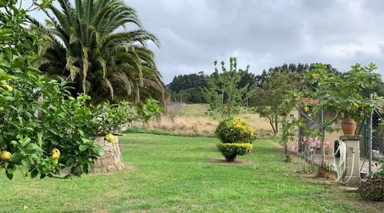 Asturias - Tazones - 14000m2