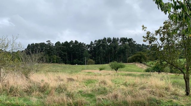 Asturias - Tazones - 14000m2