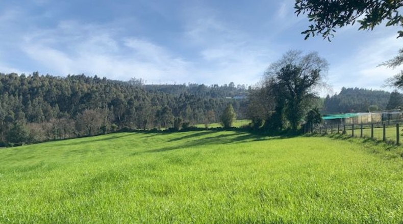 Asturias - Venta las Ranas - 9239m2