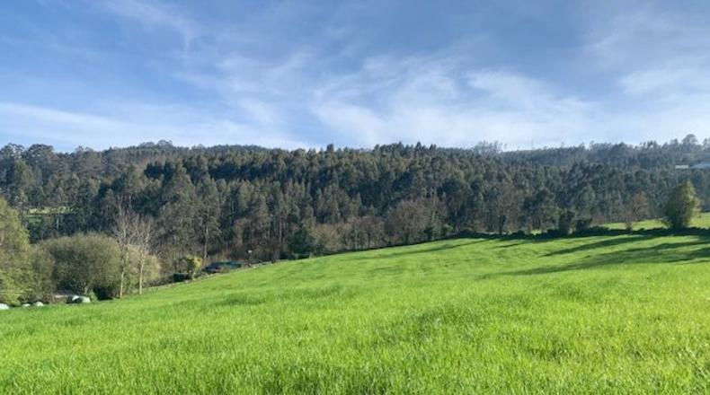 Asturias - Venta las Ranas - 9239m2