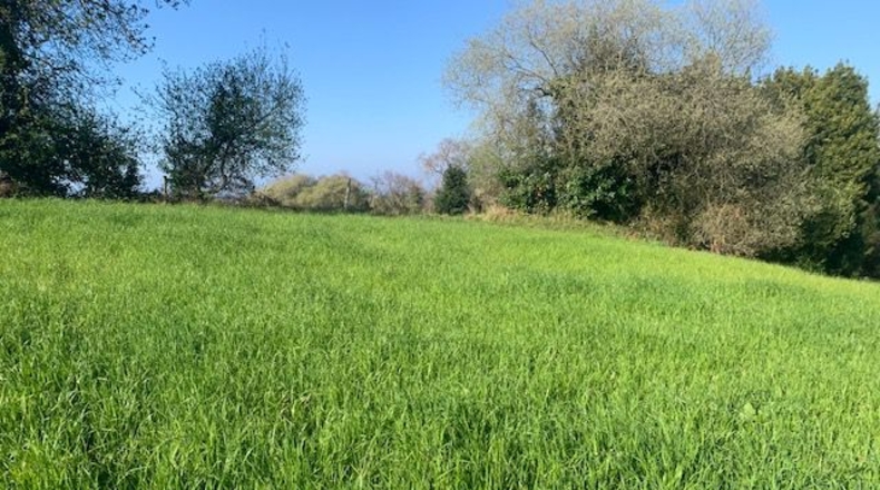 Asturias - Venta las Ranas - 9239m2