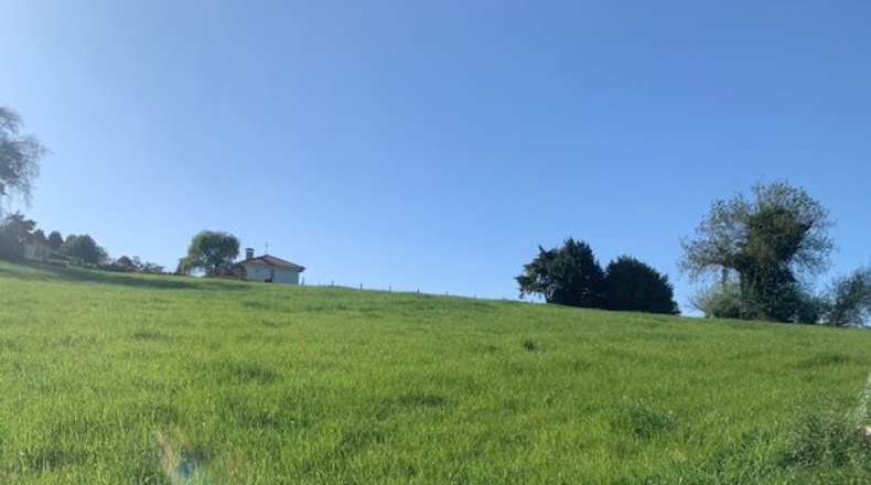 Asturias - Venta las Ranas - 9239m2