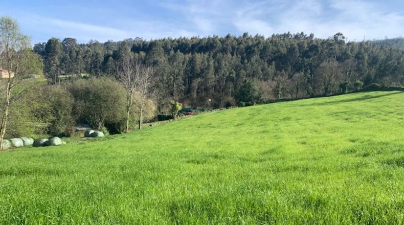 Asturias - Venta las Ranas - 9239m2