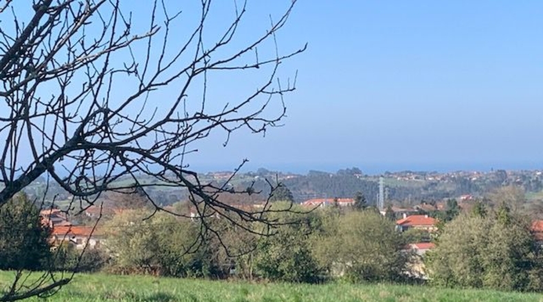 Asturias - Venta las Ranas - 9239m2