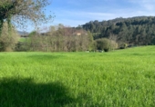 Terreny no urbanitzable en venda a Villaviciosa ref.: TR109676 foto