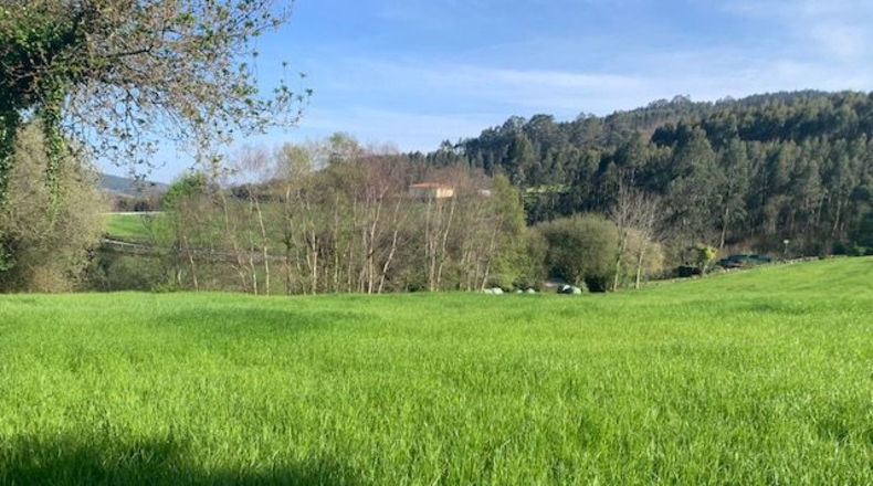 Asturias - Venta las Ranas - 9239m2