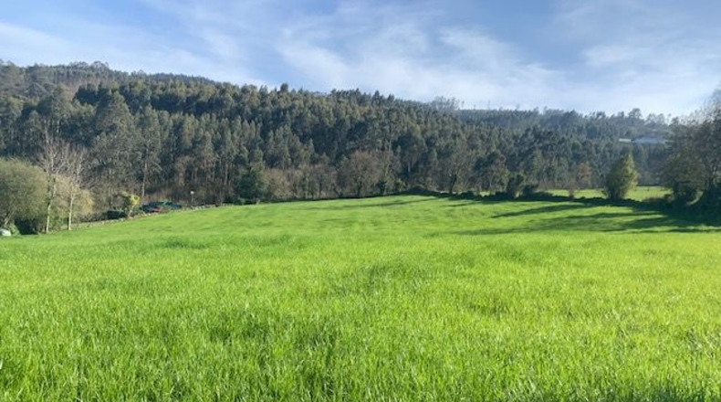 Asturias - Venta las Ranas - 9239m2