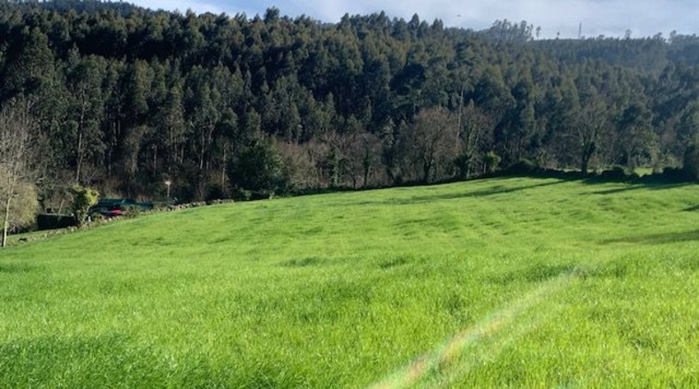 Asturias - Venta las Ranas - 9239m2