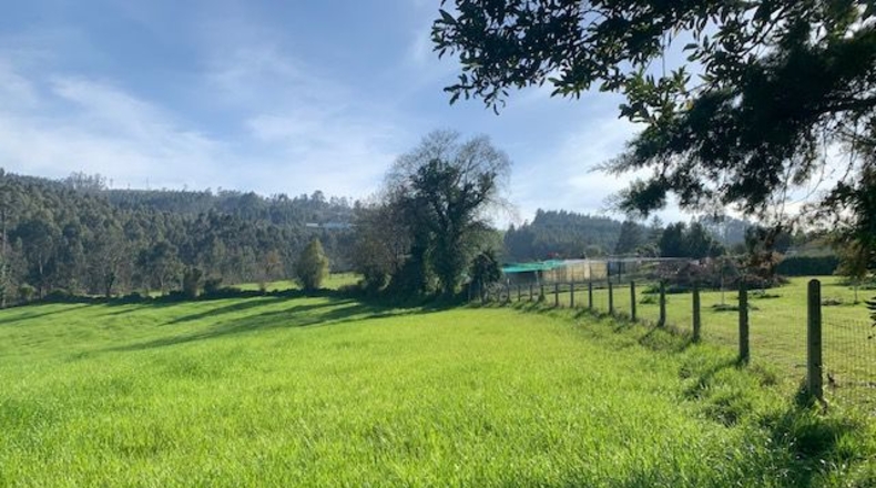 Asturias - Venta las Ranas - 9239m2