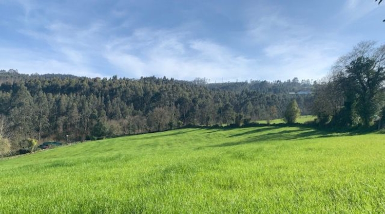 Asturias - Venta las Ranas - 9239m2
