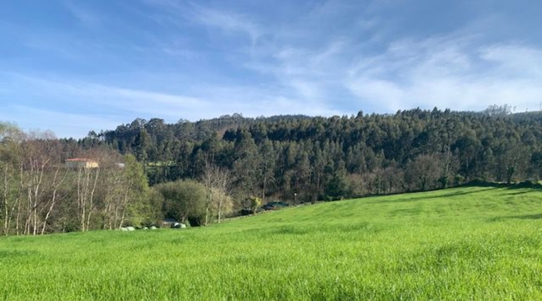 Asturias - Venta las Ranas - 9239m2