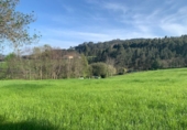 Terreny no urbanitzable en venda a Villaviciosa ref.: TR109676 foto
